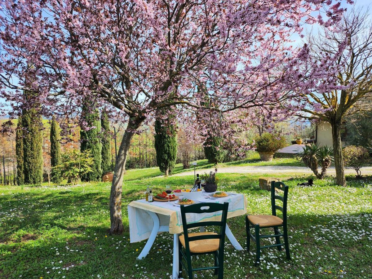 Agriturismo Lucestraia Montecatini Val di Cecina Exterior foto